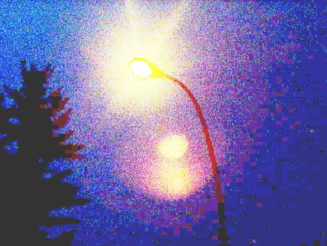 Street Light and Tree