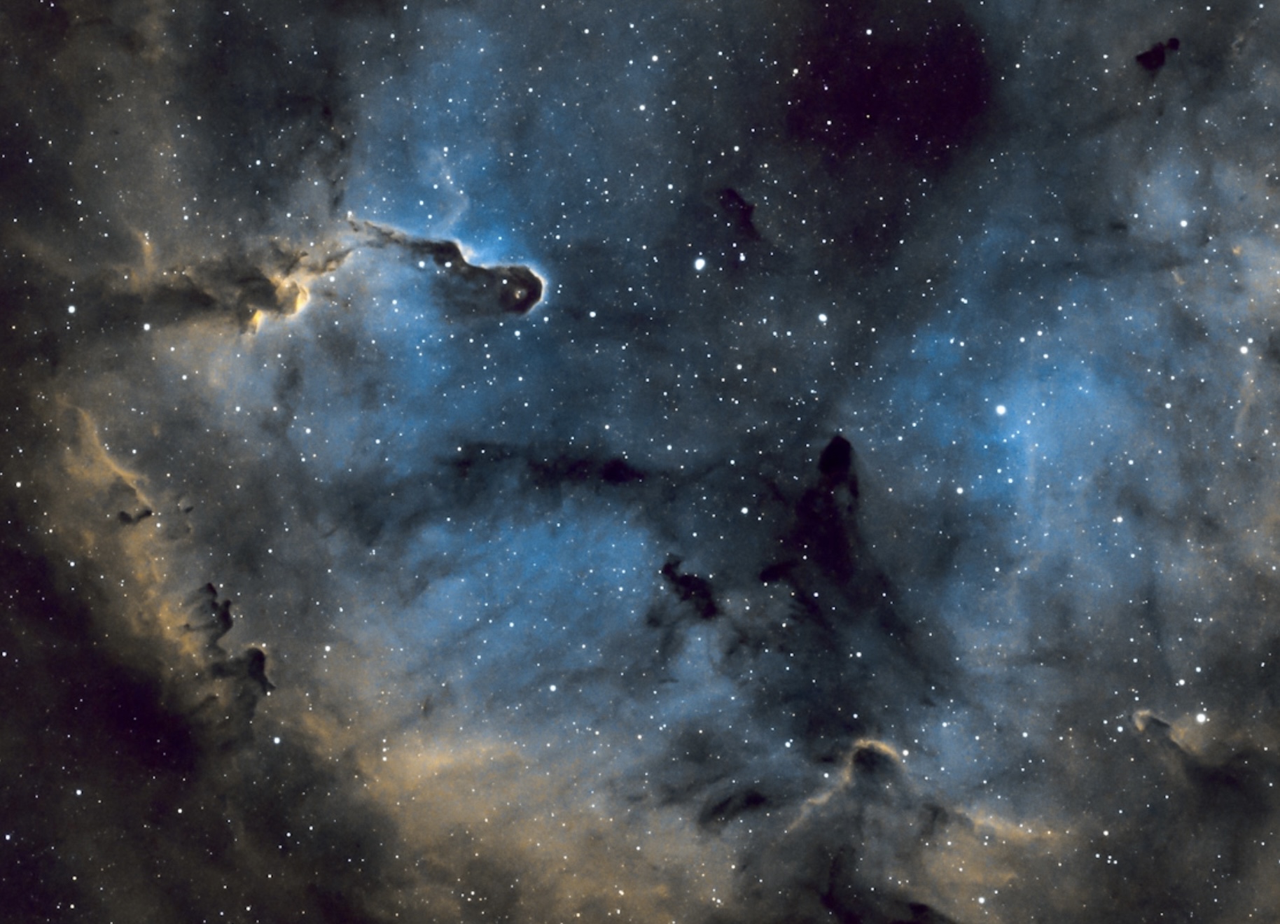 Best Overall & DeepSky - IC1396 Elephants Trunk Nebula - Eric Klaszus